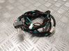 Other wiring loom 100603300B