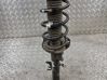 Front shock absorber with coil spring J9C318045AF
