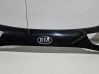 Tailgate trim 87311A2200