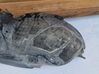 Revestimientos de la aleta antisalpicaduras delanteros 13301572
