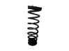 Rear coil spring 55350D4210