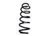Rear coil spring 