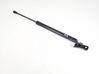 Tailgate strut 5802A428
