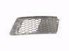 Front bumper lower grill 7154719