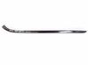 Windshield trim 