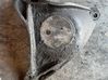 Variklio tvirtinimo kronšteinas 1096080