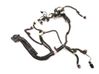 Other wiring loom 206876700C