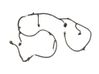 Other wiring loom 106795900D