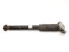 Rear shock absorber/damper 104446101E