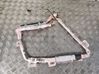 Roof airbag 0589P10015