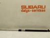 Tailgate/trunk strut/damper 
