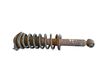 Rear shock absorber/damper 