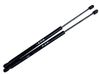 Tailgate/trunk strut/damper 