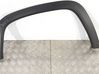 Fender trim (molding) 