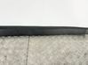Front door trim (molding) 