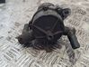 Power steering pump X2T50299