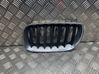 Front grill 3402909