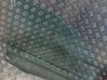 Front door window glass four-door DOT748AS2M42