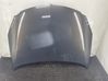 Engine bonnet/hood Z190