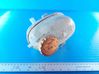 Coolant expansion tank/reservoir 09128766