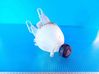 Coolant expansion tank/reservoir 9652621280