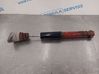 Rear shock absorber/damper 