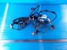 Parking sensor (PDC) wiring loom 4E0971104AN