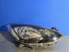 Headlight/headlamp DG8051030