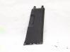 Other sill/pillar trim element 