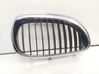 Front grill 7027062