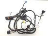 Cableado de puerta delantera 6R1971120ED