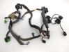 Front door wiring loom 31344048