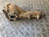 Hinterachsdifferential 27011AB181