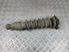 Rear shock absorber with coil spring 