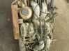 Motor EJ20