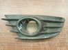 Front fog light trim/grill 20100626