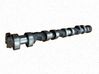 Camshaft 1707316