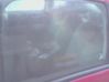 Rear door window glass 9203KF