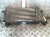 Intercooler radiator 00000384P1