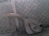 Windshield washer fluid reservoir/tank 1354171