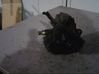 Polttoaineen ruiskutuksen suurpainepumppu 3310027500