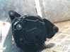 Generatorius 5705J9