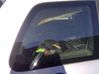Vidrio lateral trasero 8569FH