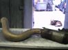 Exhaust flexible connection 