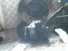 Power steering pump 