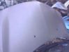 Engine bonnet/hood 7751476113