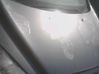 Engine bonnet/hood 7901P6