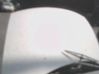 Engine bonnet/hood 00007901N0