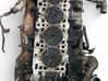 Engine head 