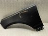Fender trim (molding) NAA